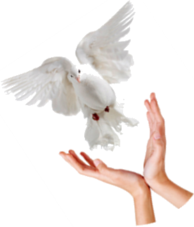 Advance International Ministries